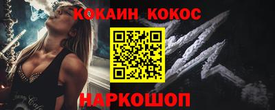 шишки Новодвинск